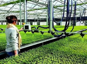 科技賦能現代農業 環保技術推動可持續發展新路徑